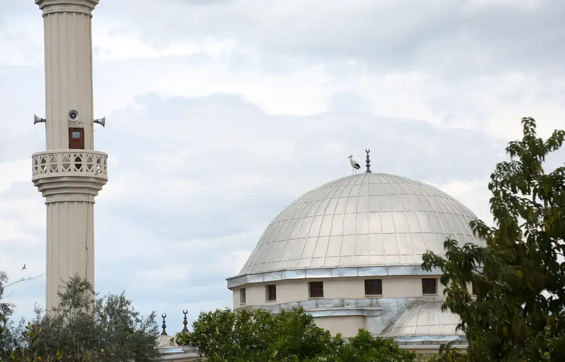 Serik Dikmen’de Leylek Yuvası Krizi Tatlıya Bağlandı 7